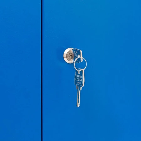 Armoire informatique. Tampons en plastique anti-bruit sur les portes. Fermeture par clés. Armoire informatique. Tampons en plastique anti-bruit sur les portes. Fermeture par clés.